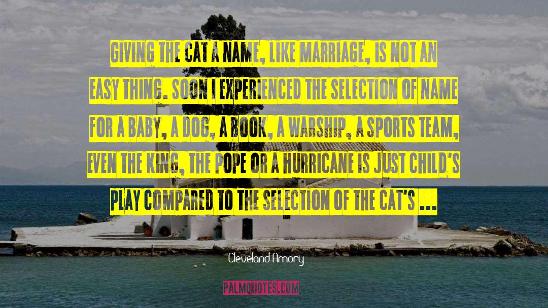 Hurricanes quotes by Cleveland Amory