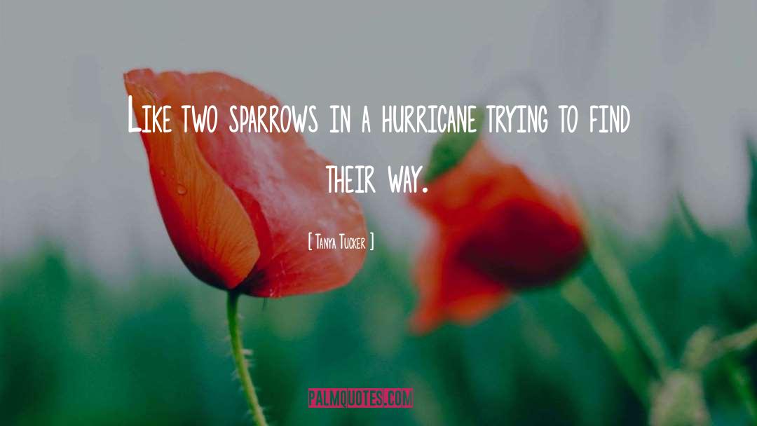 Hurricanes quotes by Tanya Tucker