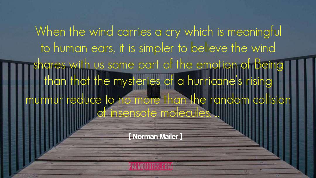Hurricanes quotes by Norman Mailer