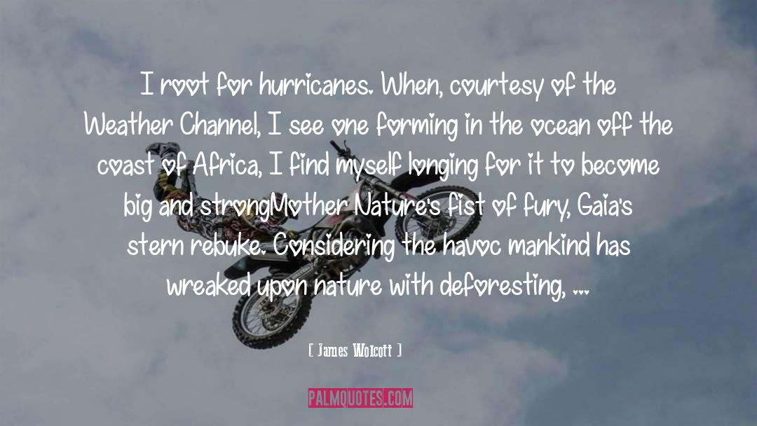 Hurricanes quotes by James Wolcott
