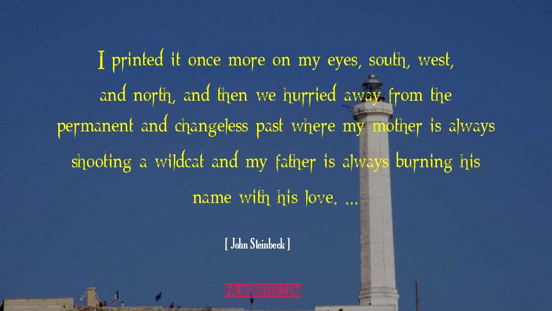 Hurried quotes by John Steinbeck