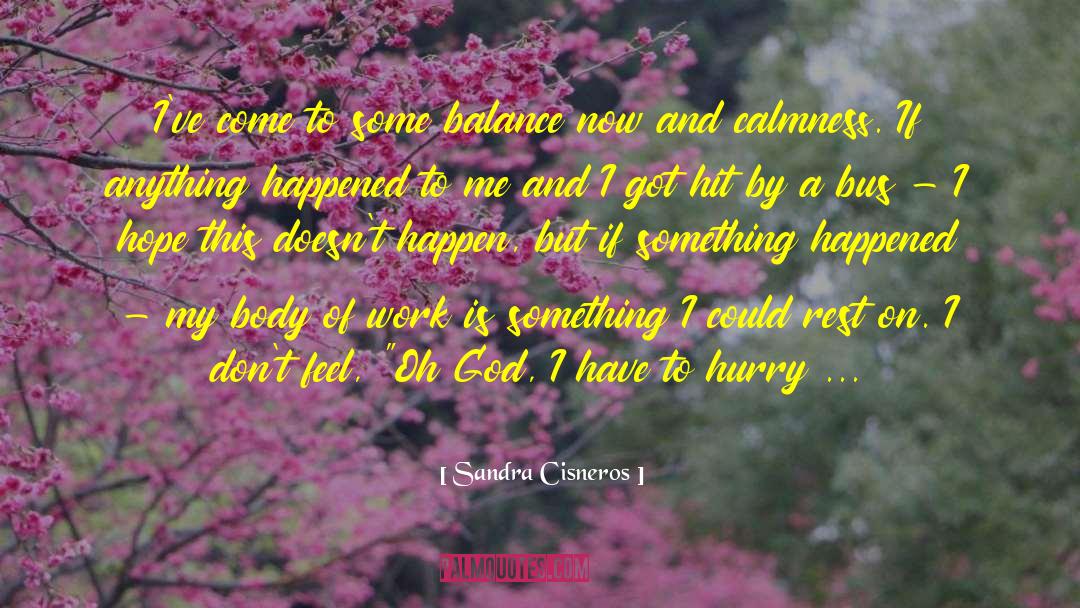 Hurry Up quotes by Sandra Cisneros