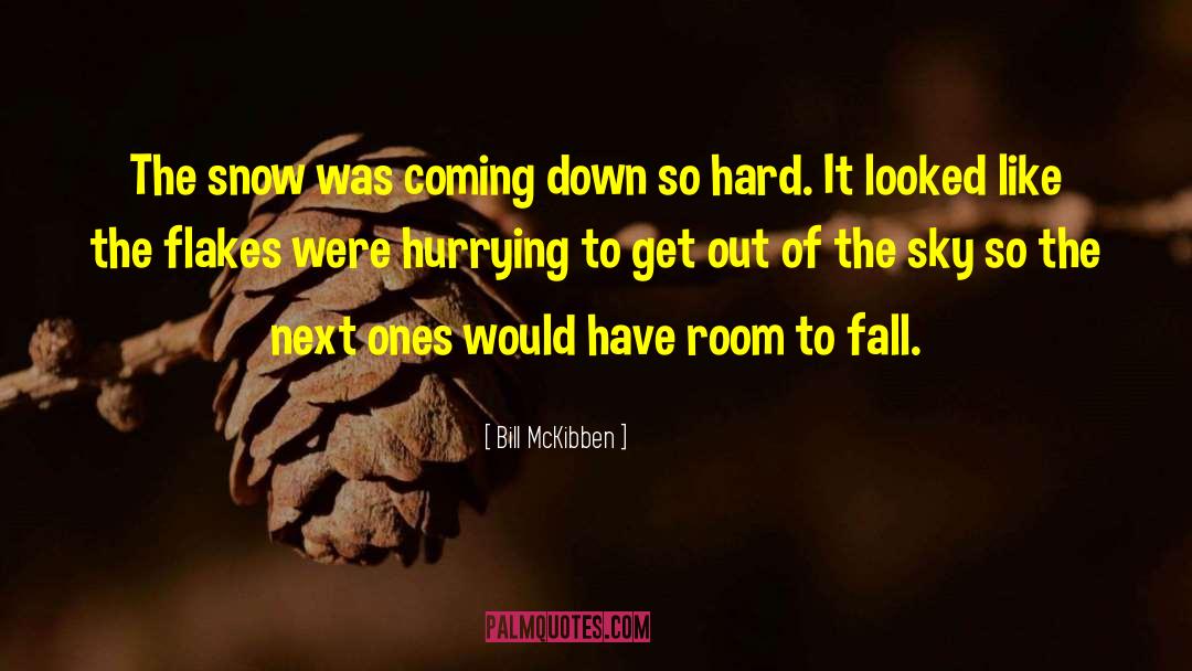 Hurrying quotes by Bill McKibben