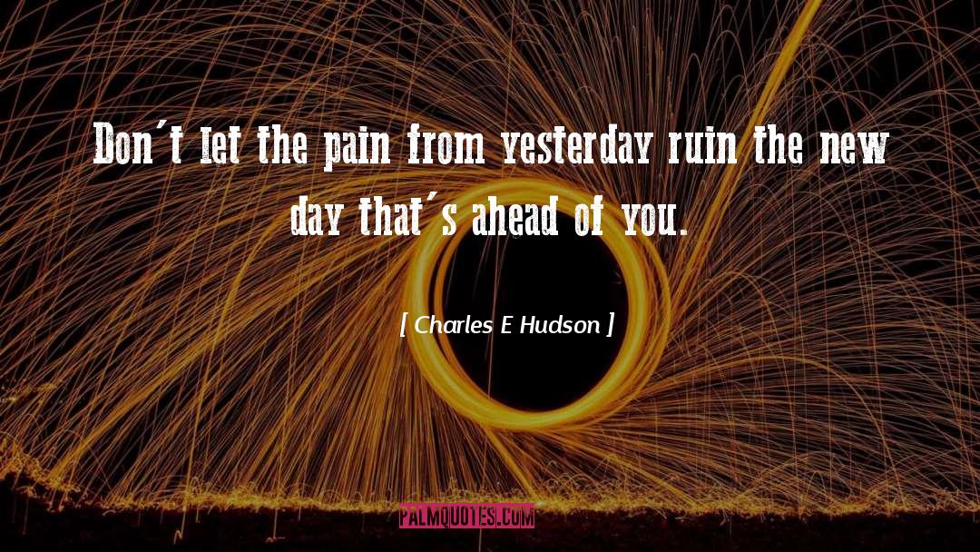 Hurt And Pain quotes by Charles E Hudson