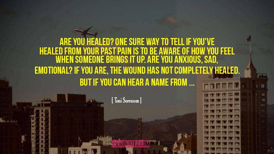 Hurt From Someone quotes by Toni Sorenson