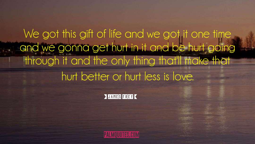Hurt Insulting Love quotes by James Frey