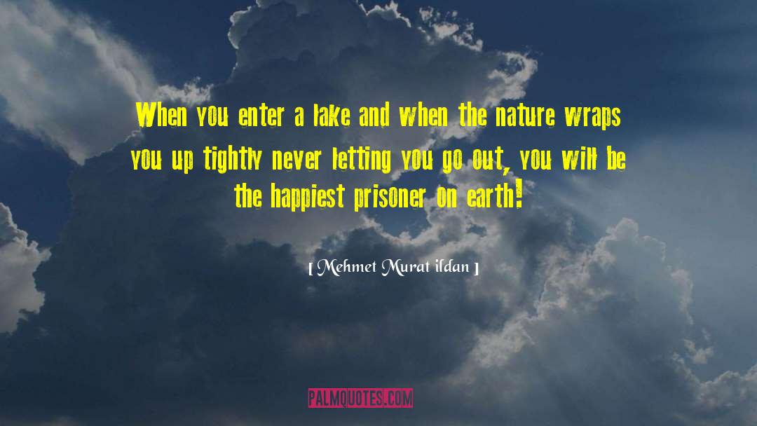 Hurt Letting Go quotes by Mehmet Murat Ildan