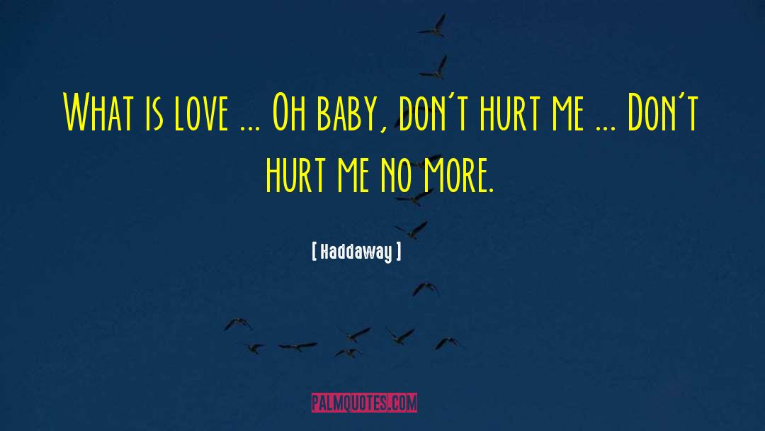 Hurt Me quotes by Haddaway