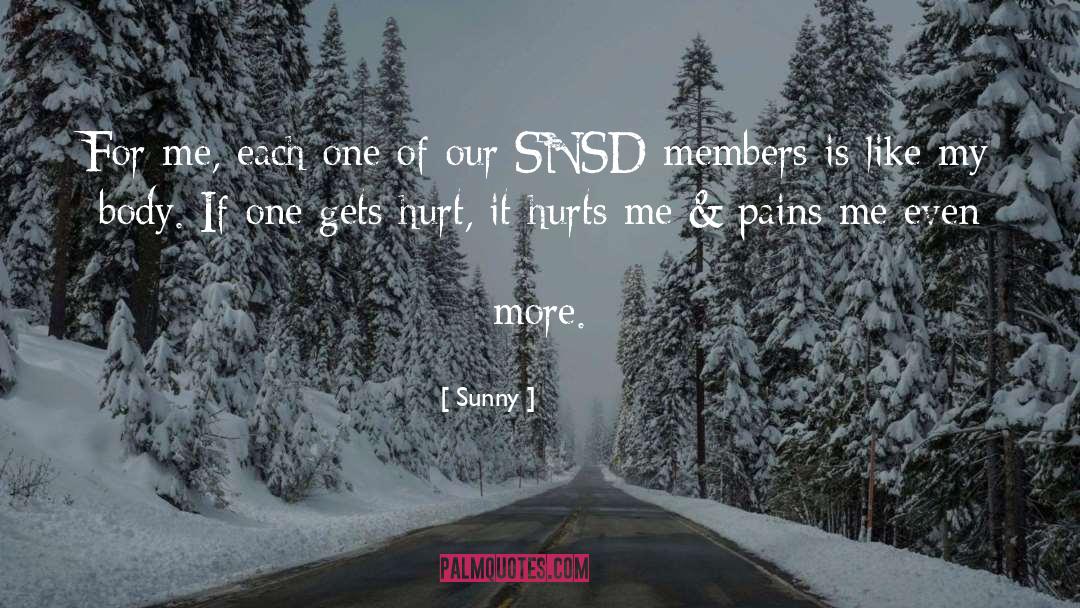 Hurt Pain quotes by Sunny