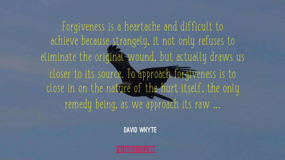 Hurt Wound Graceling Fire quotes by David Whyte