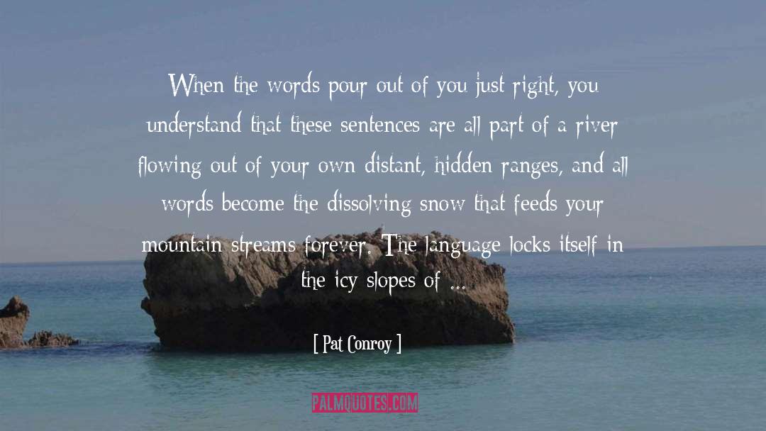 Hurtful Words quotes by Pat Conroy