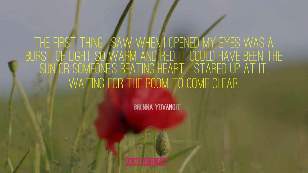 Hurting Heart quotes by Brenna Yovanoff