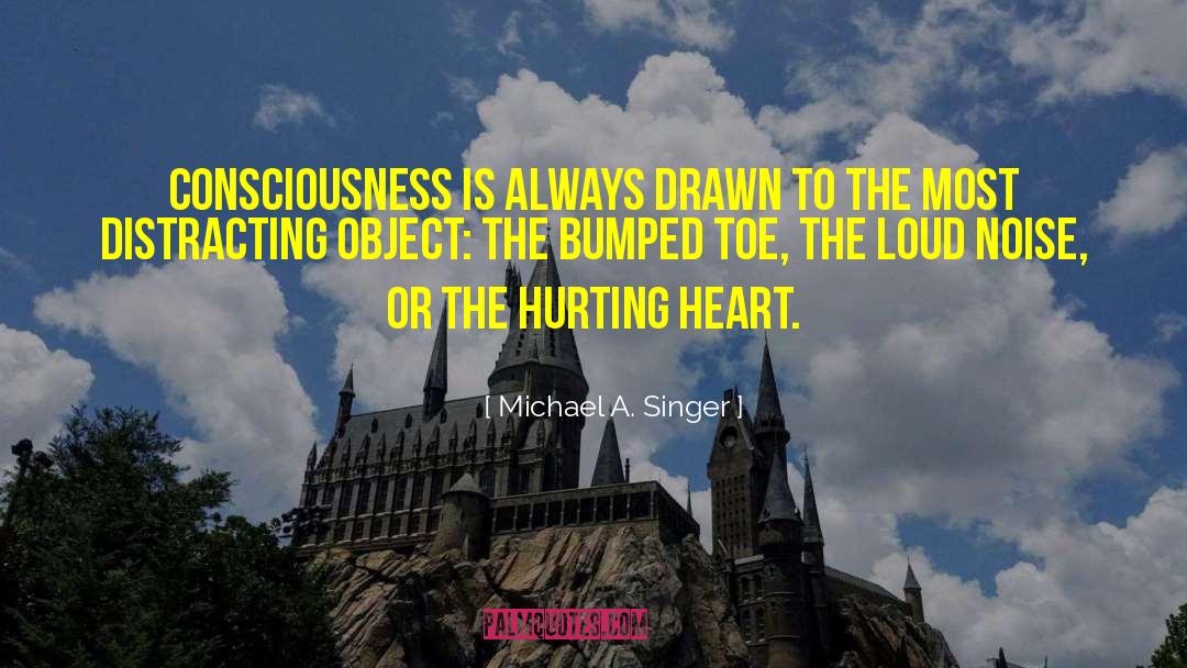 Hurting Heart quotes by Michael A. Singer