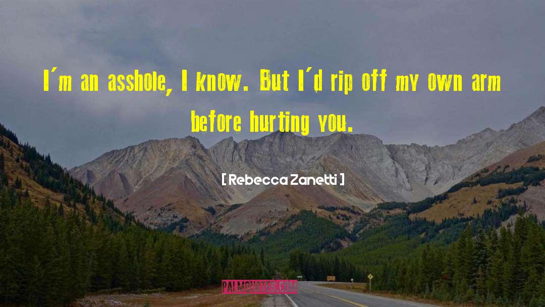 Hurting You quotes by Rebecca Zanetti