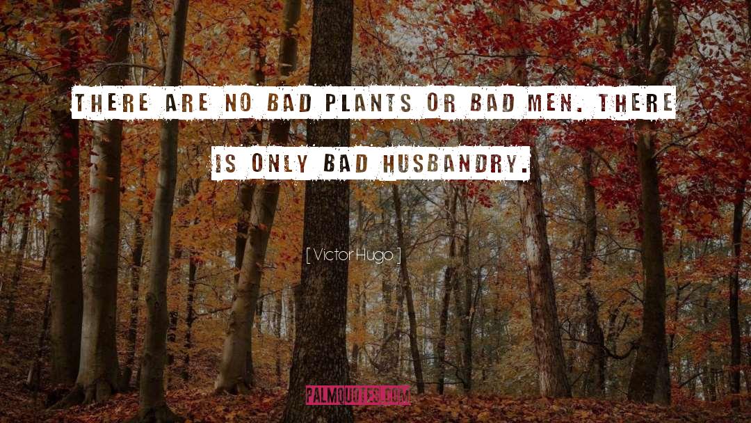 Husbandry quotes by Victor Hugo