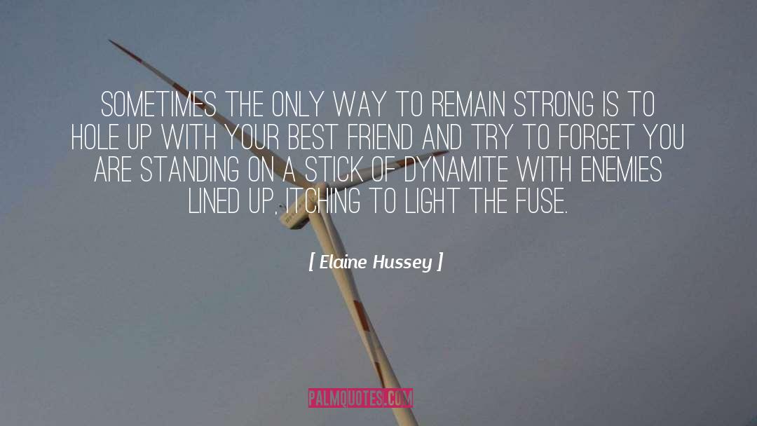 Hussey Bleachers quotes by Elaine Hussey