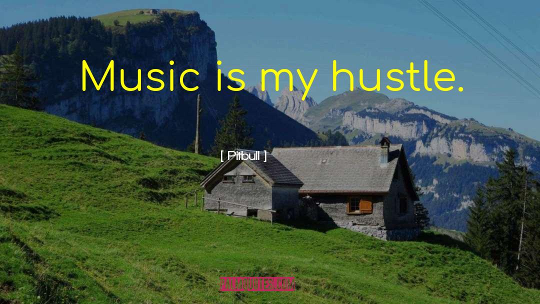 Hustle quotes by Pitbull
