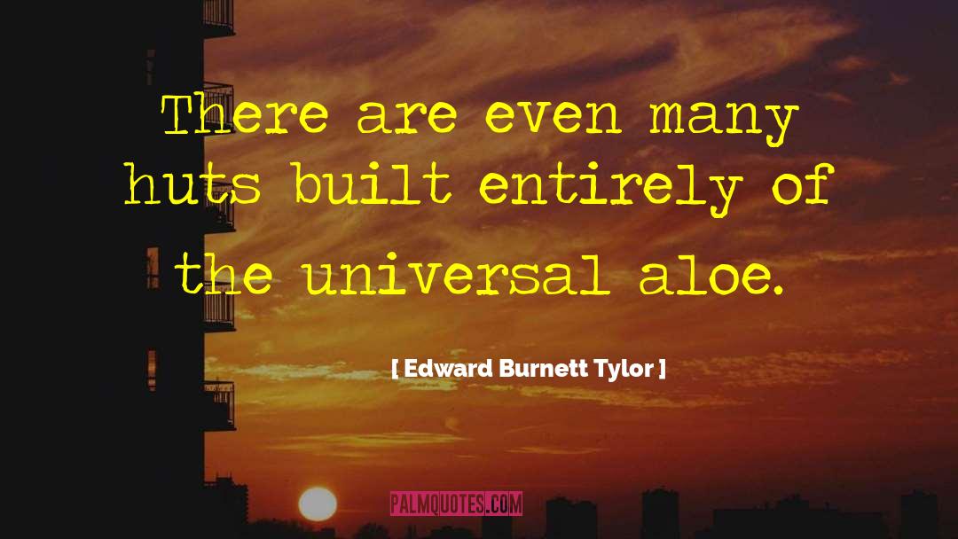Huts quotes by Edward Burnett Tylor