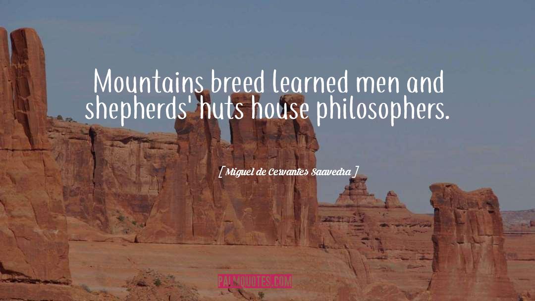 Huts quotes by Miguel De Cervantes Saavedra