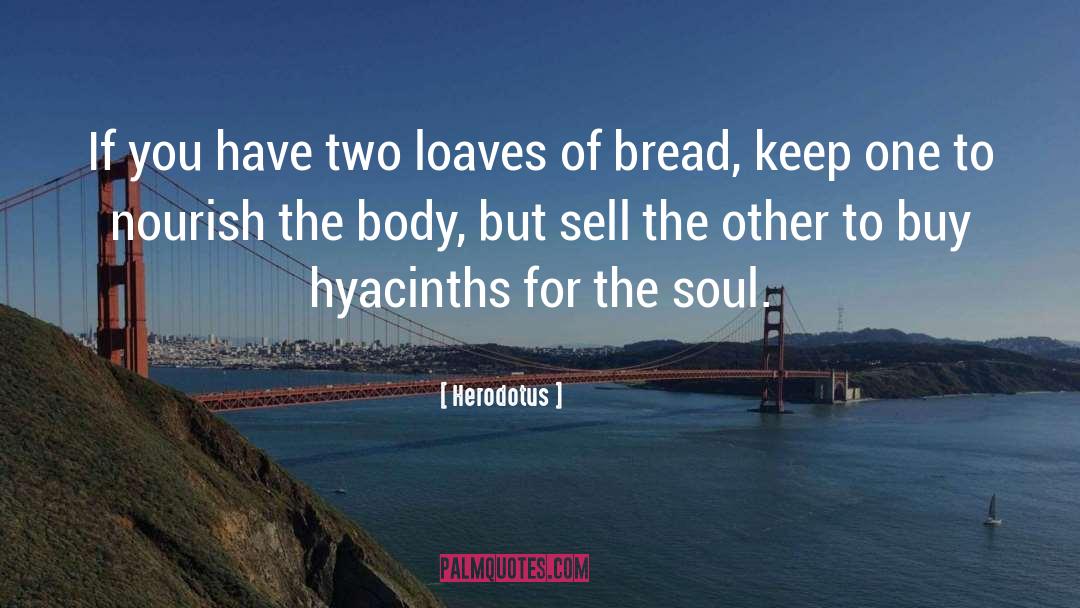 Hyacinths quotes by Herodotus