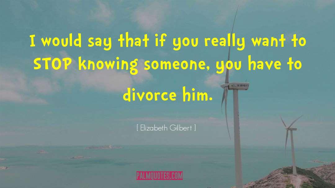 Hybels Divorce quotes by Elizabeth Gilbert