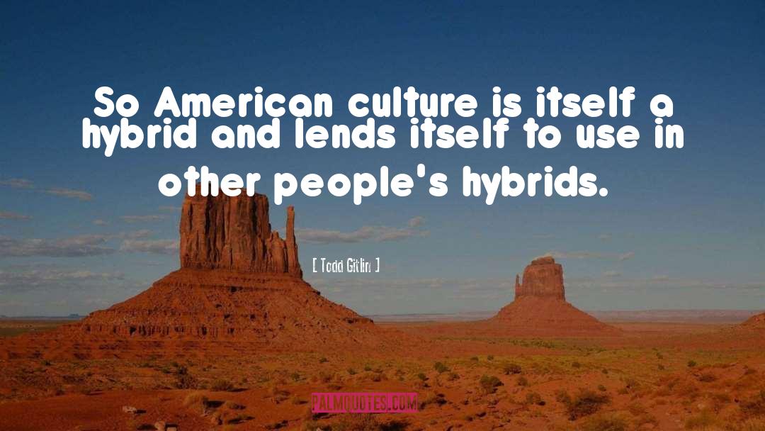 Hybrids quotes by Todd Gitlin