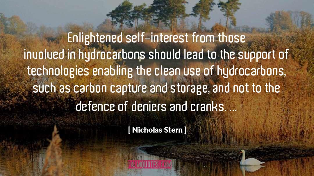 Hydrocarbons quotes by Nicholas Stern