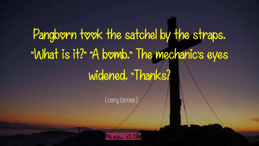 Hydrogen Bomb quotes by Larry Correia