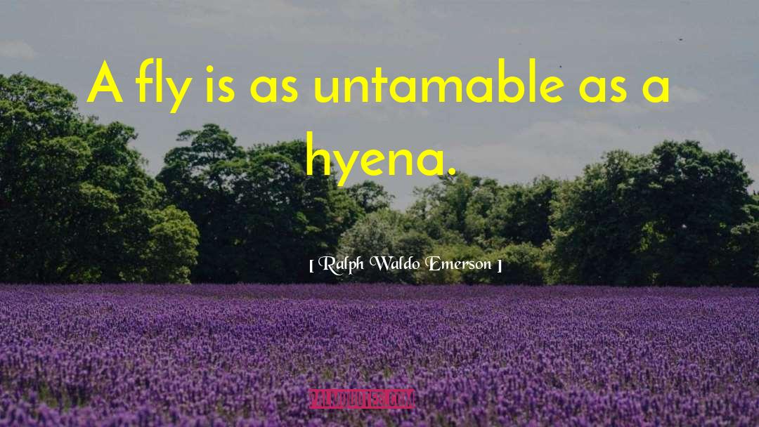 Hyena quotes by Ralph Waldo Emerson