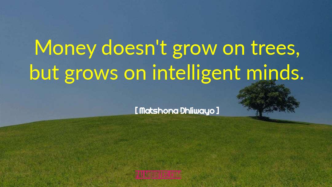 Hyper Intelligent Bees quotes by Matshona Dhliwayo