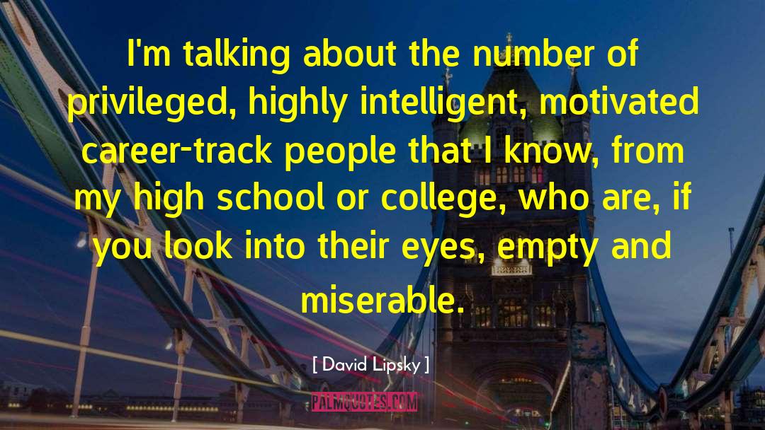 Hyper Intelligent Bees quotes by David Lipsky