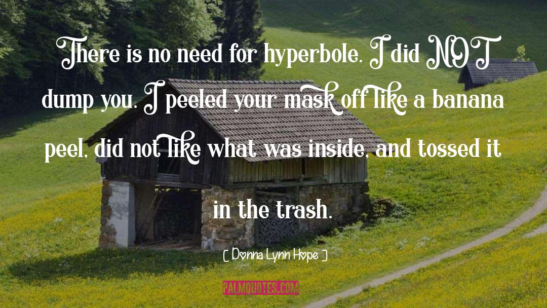 Hyperbole quotes by Donna Lynn Hope