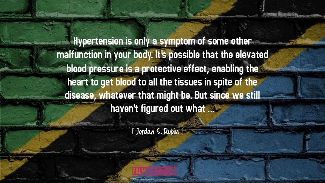 Hypertension quotes by Jordan S. Rubin