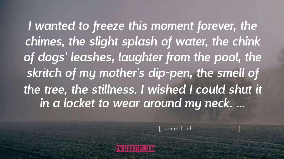 Hyperventilating From Laughter quotes by Janet Fitch
