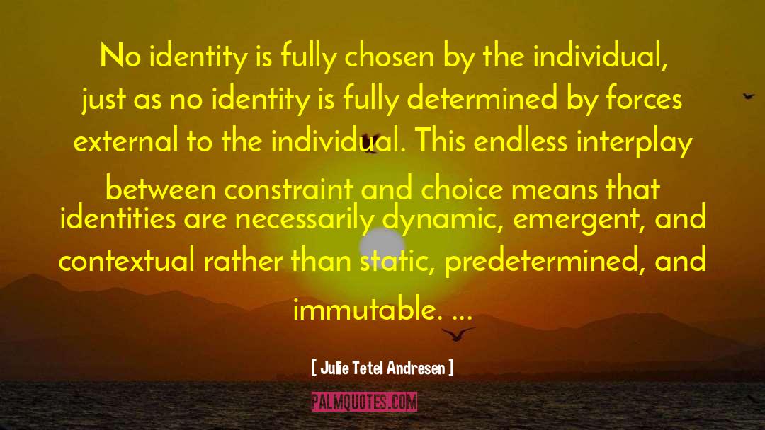 Hyphenated Identities quotes by Julie Tetel Andresen