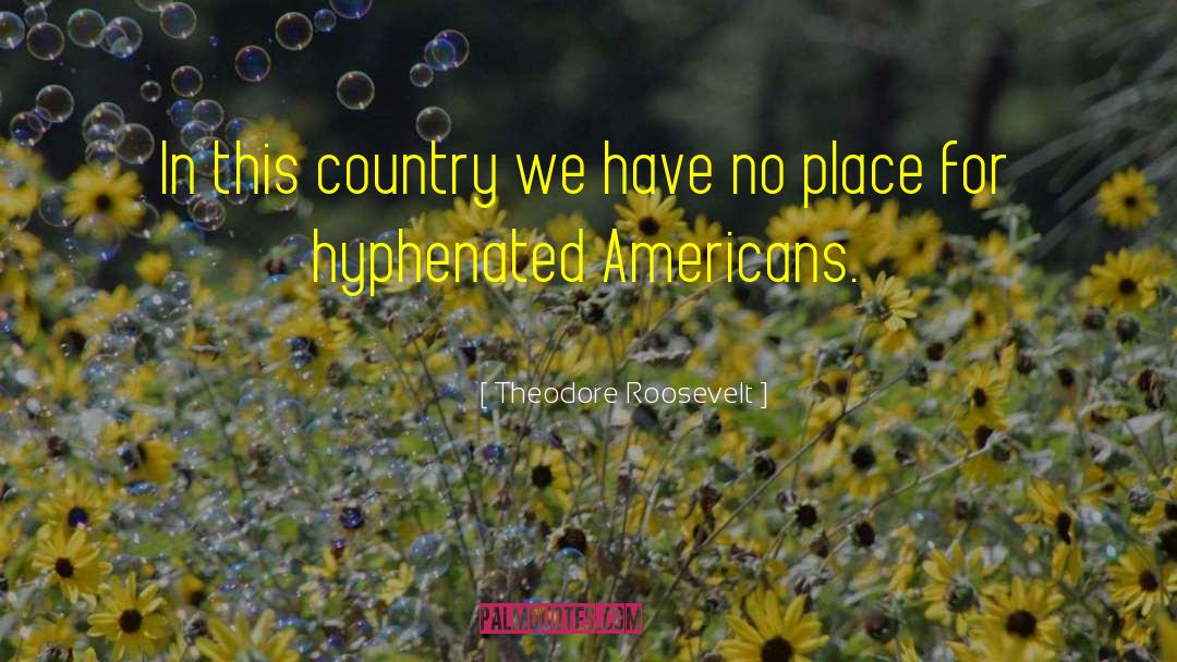 Hyphenated quotes by Theodore Roosevelt
