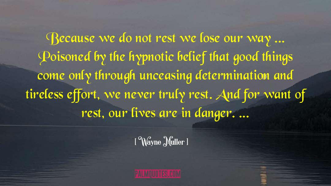 Hypnotic quotes by Wayne Muller