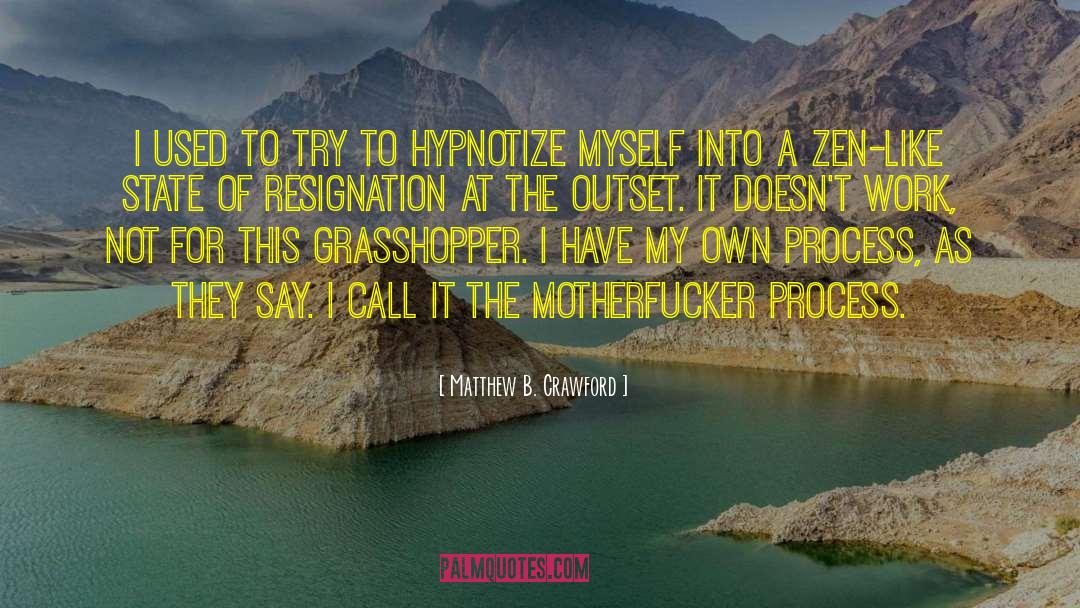 Hypnotize quotes by Matthew B. Crawford