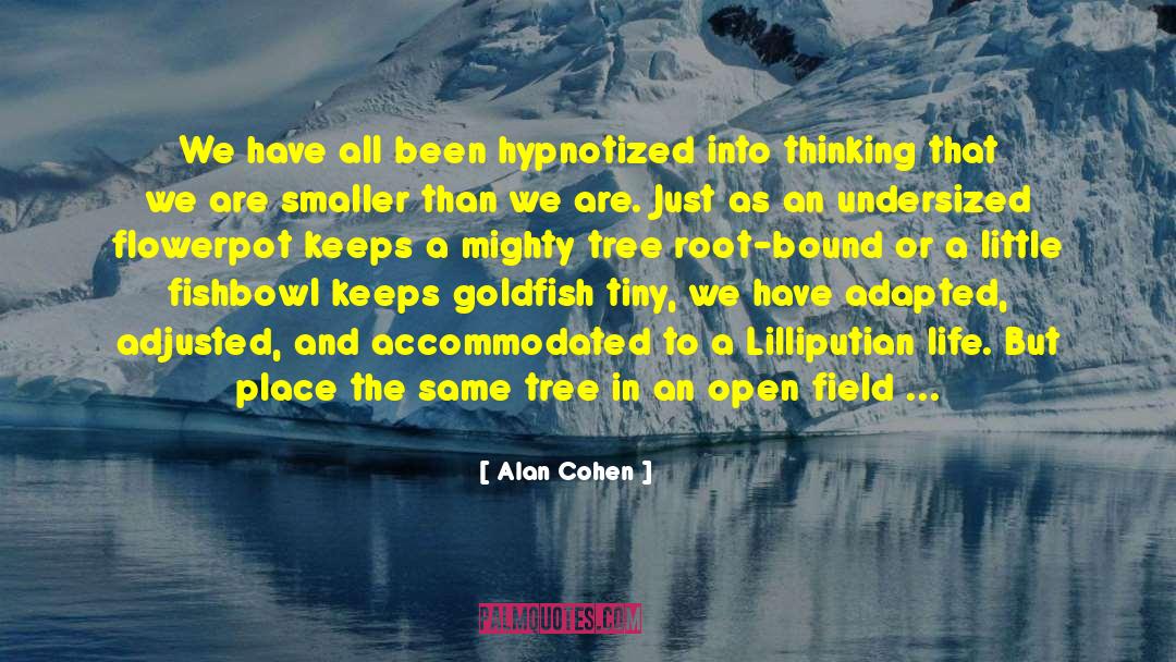 Hypnotized quotes by Alan Cohen