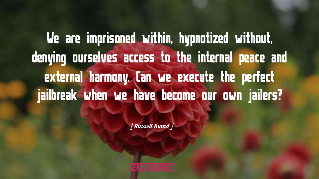Hypnotized quotes by Russell Brand