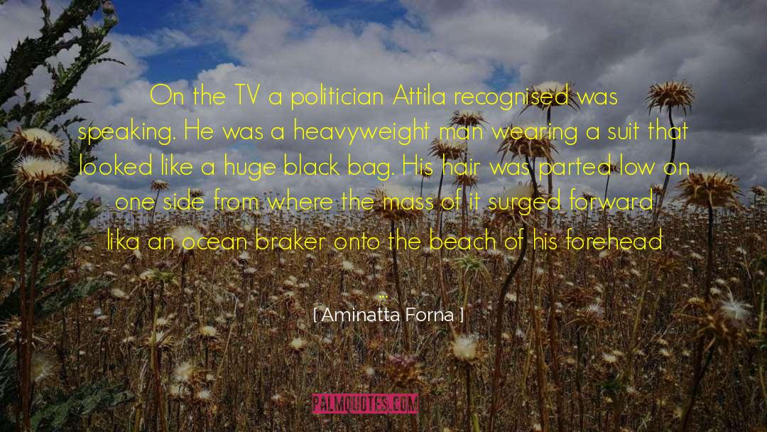 Hypomania quotes by Aminatta Forna
