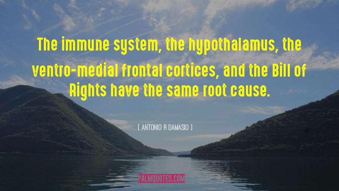 Hypothalamus quotes by Antonio R Damasio
