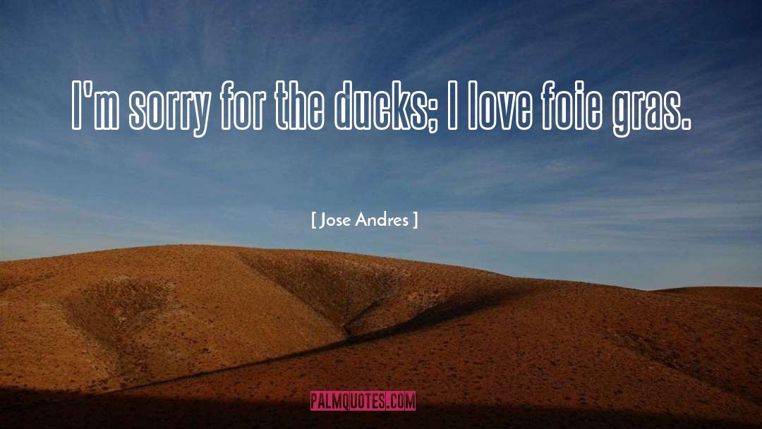 I 27m Sorry quotes by Jose Andres