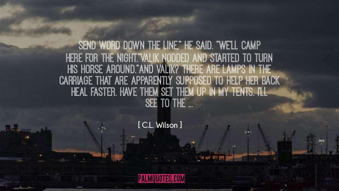 I Always Set Myself Up For Disappointment quotes by C.L. Wilson