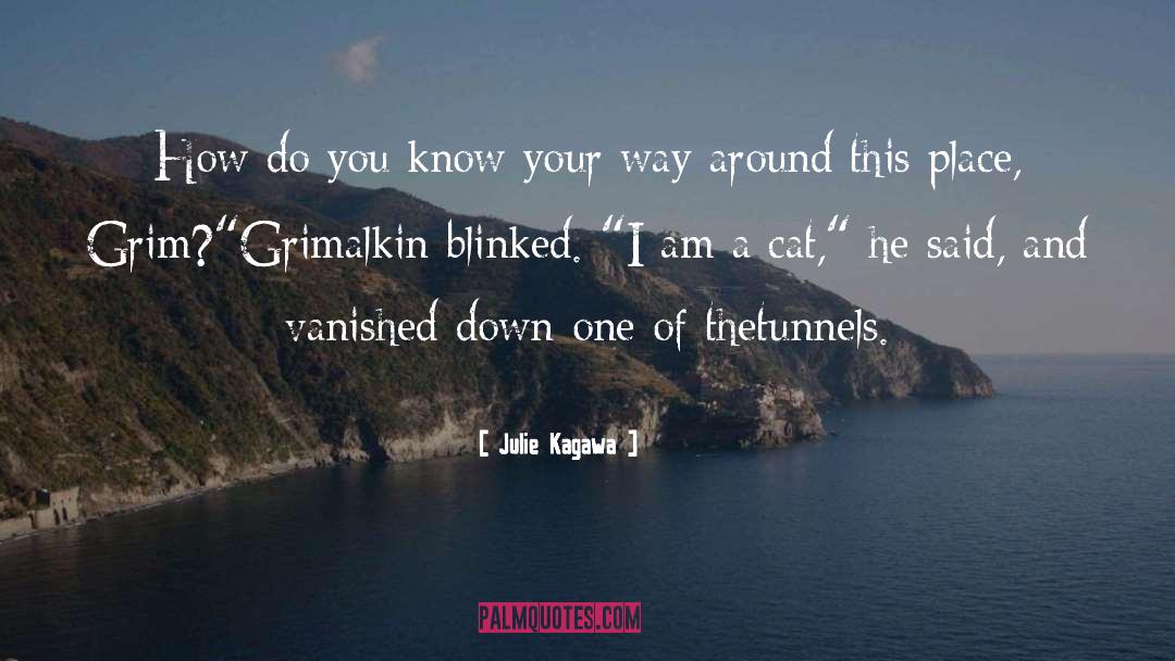 I Am A Cat quotes by Julie Kagawa