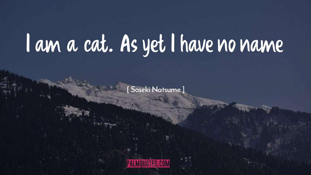 I Am A Cat quotes by Soseki Natsume