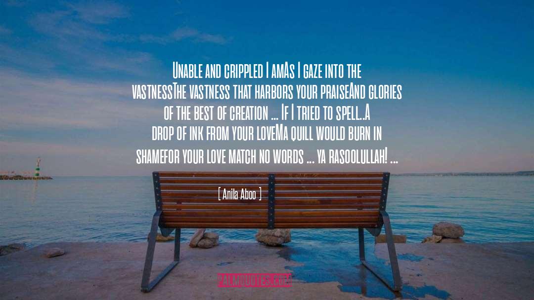 I Am A Drop Of Water quotes by Anila Aboo