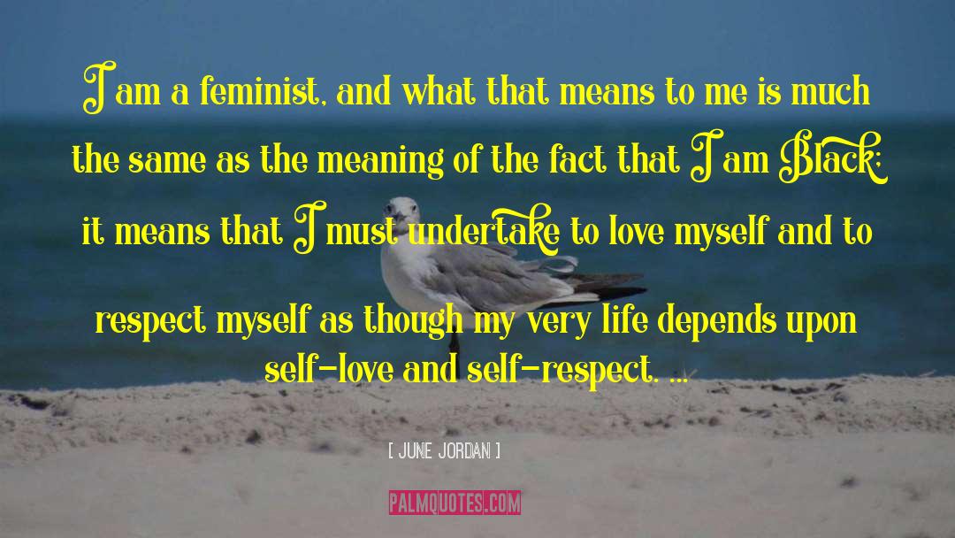 I Am A Rock quotes by June Jordan