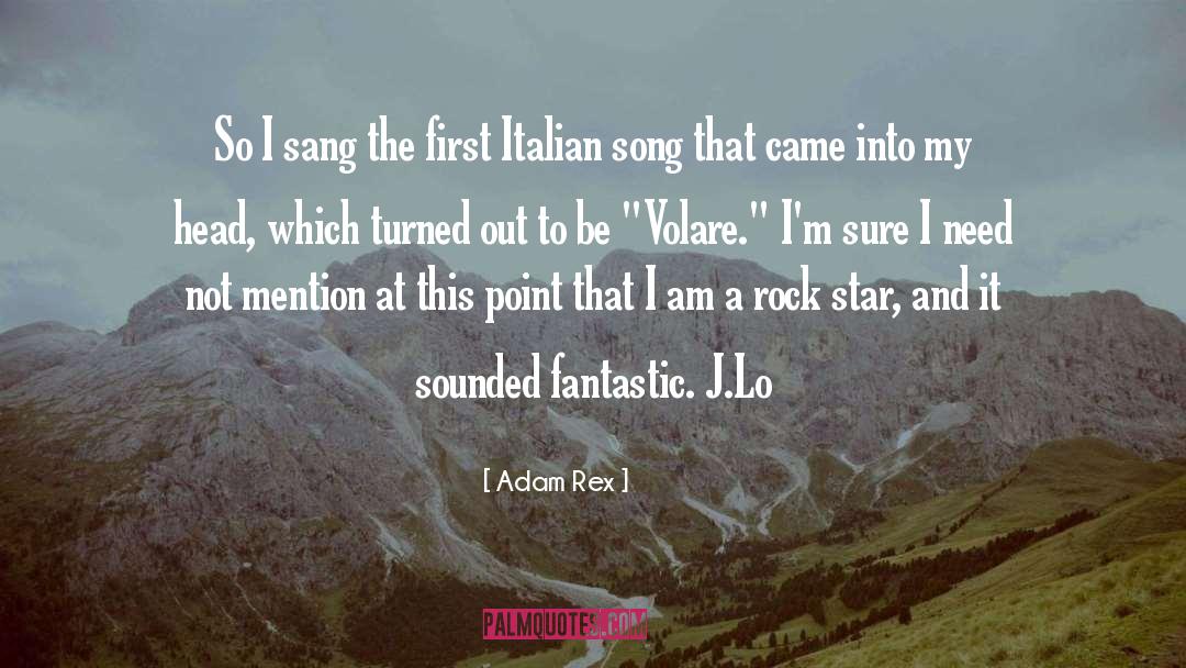 I Am A Rock quotes by Adam Rex