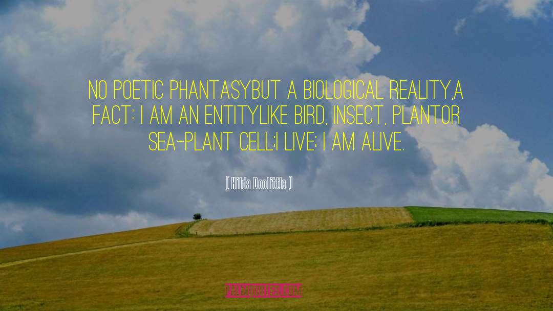 I Am Alive quotes by Hilda Doolittle